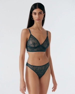 Acacia Bikini Brief