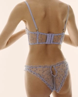Aster Brief
