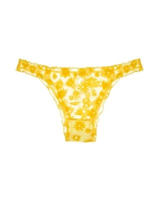 Capucine Brief