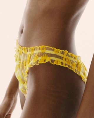 Capucine Brief