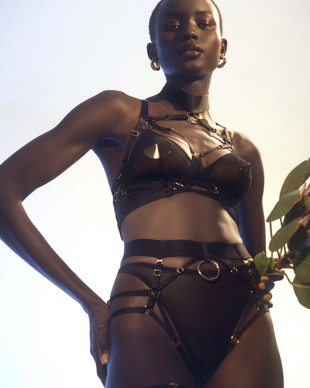 Kora Multi-Style Harness Brief