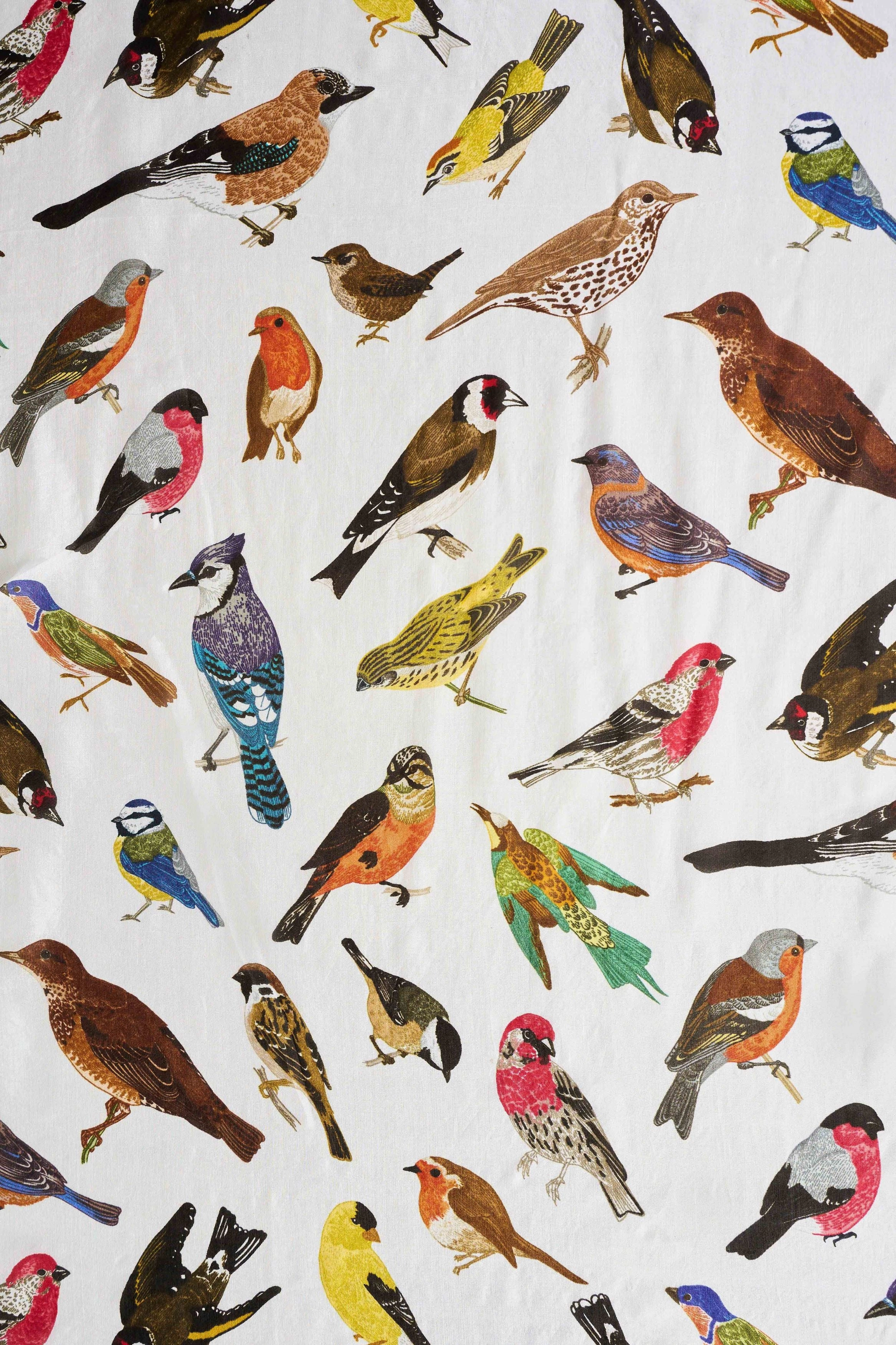 Multi Bird Print Silk Scarf - Multi