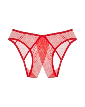 Whisper Coucou Bikini